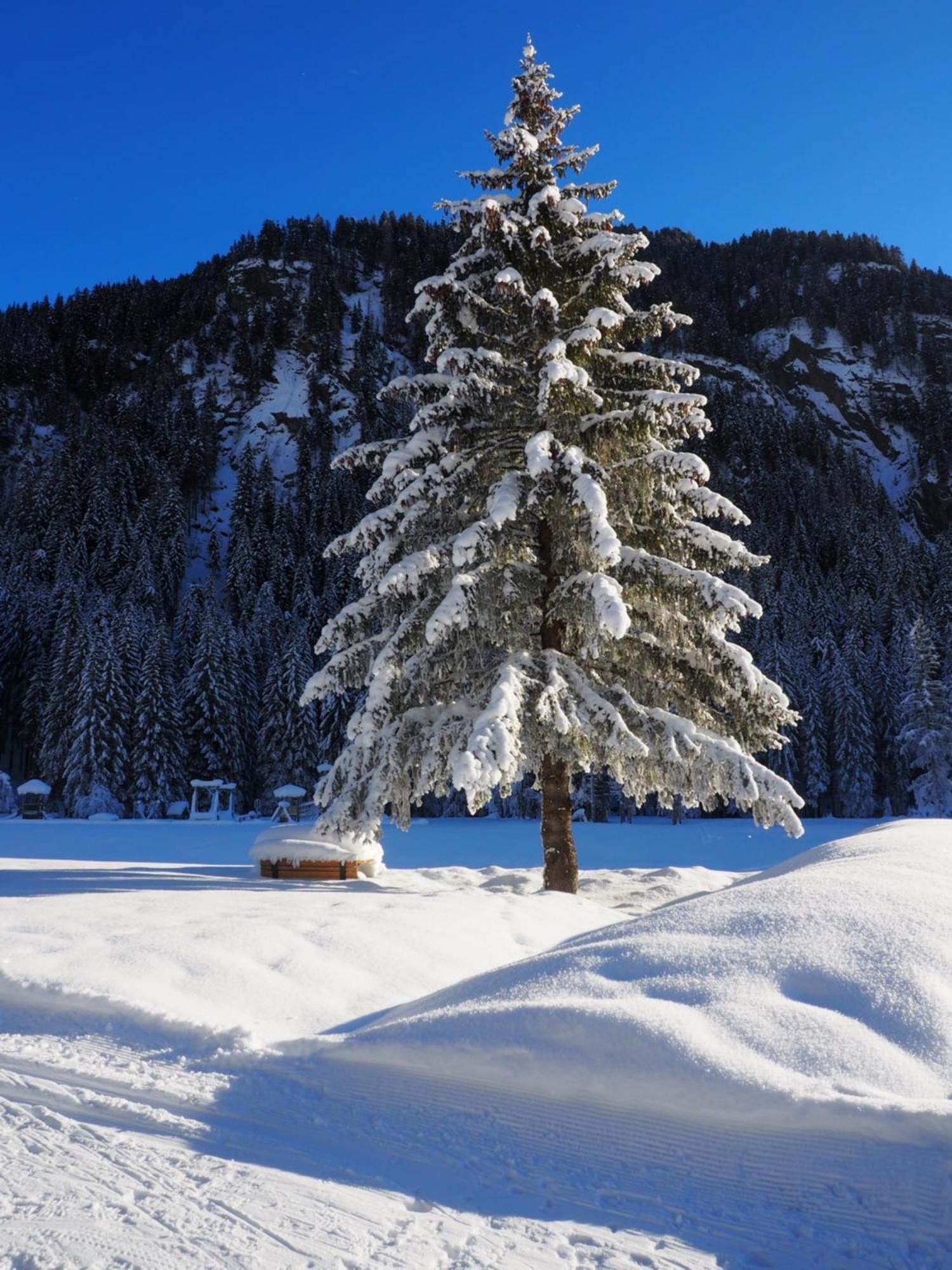 Appartamenti Residence Rodolon Campestrin Экстерьер фото