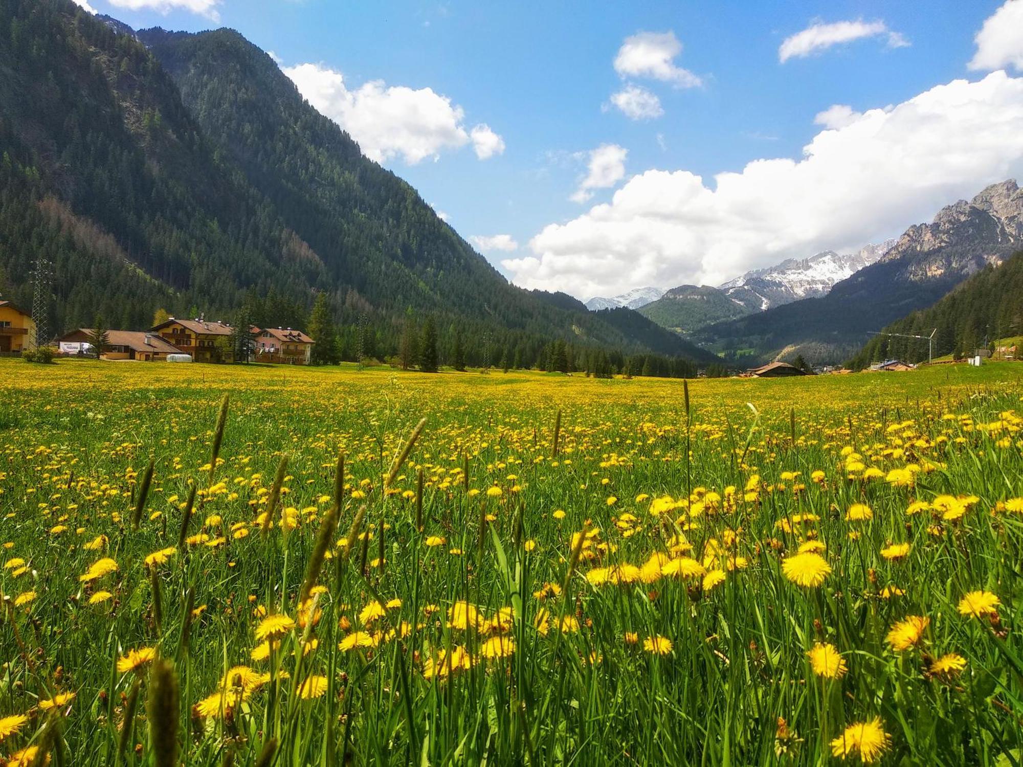 Appartamenti Residence Rodolon Campestrin Экстерьер фото